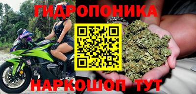 твердый Обь