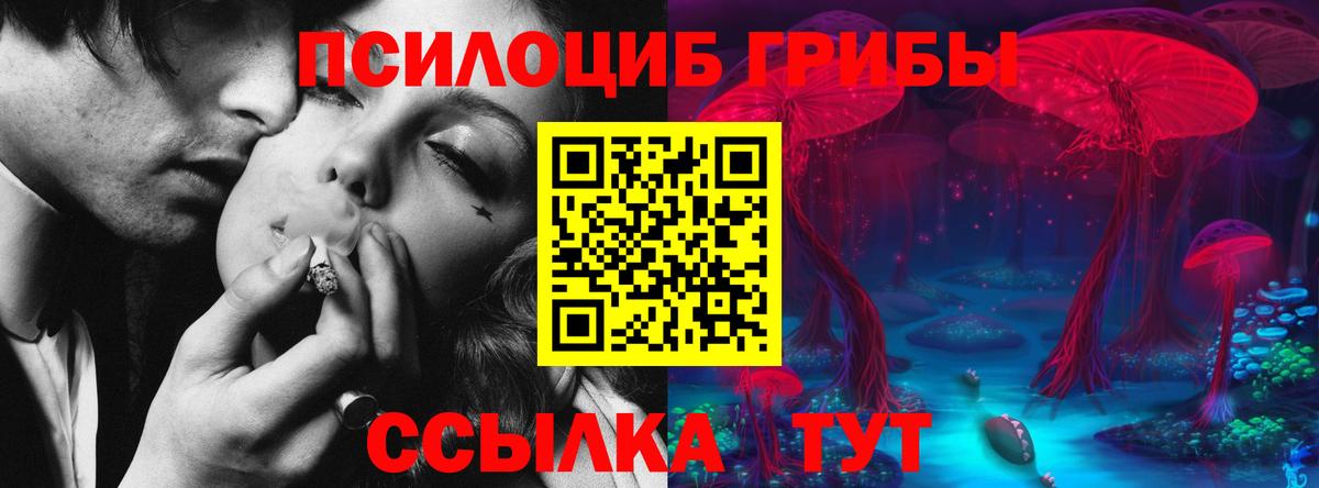 Галлюциногенные грибы MAGIC MUSHROOMS Рязань